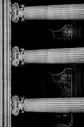 Wall_Art_Alphabet_Photography_Art_ 544
